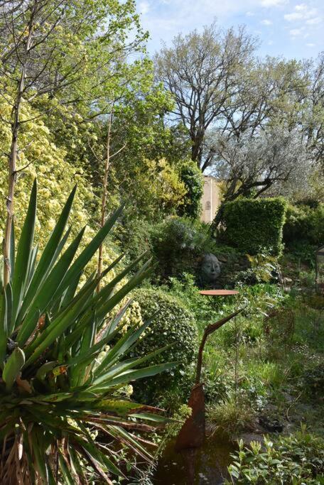 La Petite Maison Des Artistes Séguret Eksteriør bilde